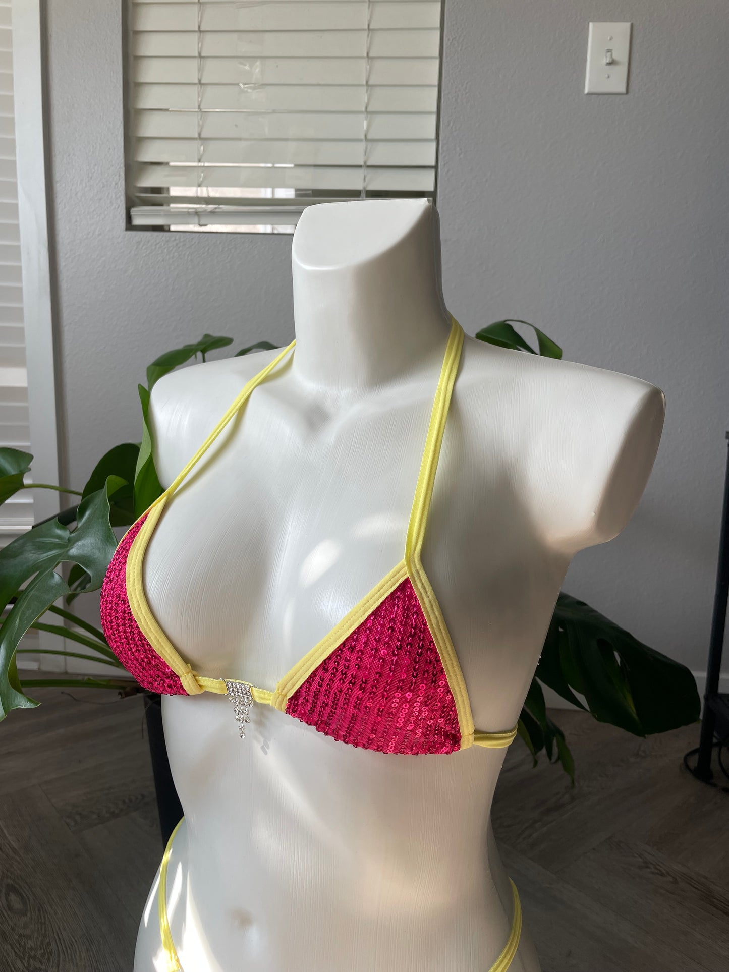 “Pink Lemonade” Micro Bikini Set (S-M)